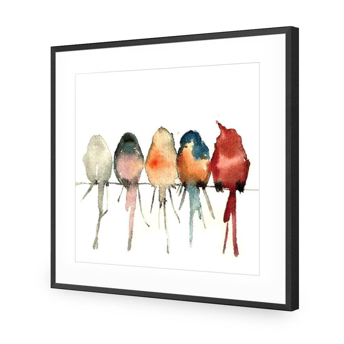 Watercolour Birds on Branch-Acrylic-Wall Art Design-With Border-Acrylic - Black Frame-37x37cm-Wall Art Designs