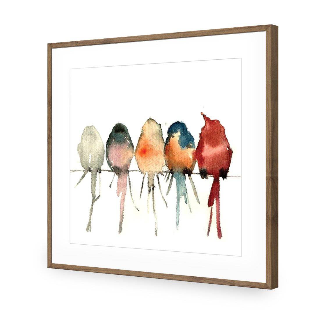 Watercolour Birds on Branch-Acrylic-Wall Art Design-With Border-Acrylic - Natural Frame-37x37cm-Wall Art Designs