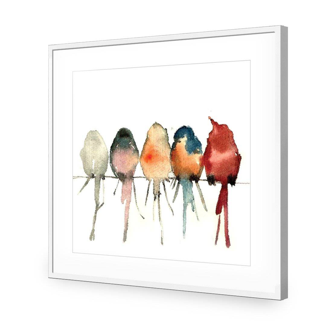 Watercolour Birds on Branch-Acrylic-Wall Art Design-With Border-Acrylic - White Frame-37x37cm-Wall Art Designs