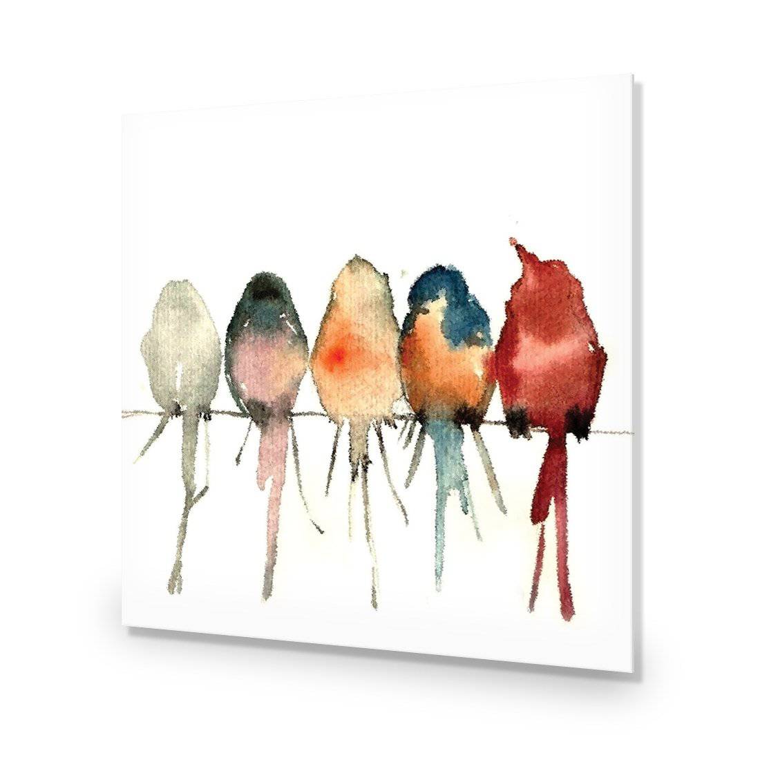 Watercolour Birds on Branch-Acrylic-Wall Art Design-Without Border-Acrylic - No Frame-37x37cm-Wall Art Designs