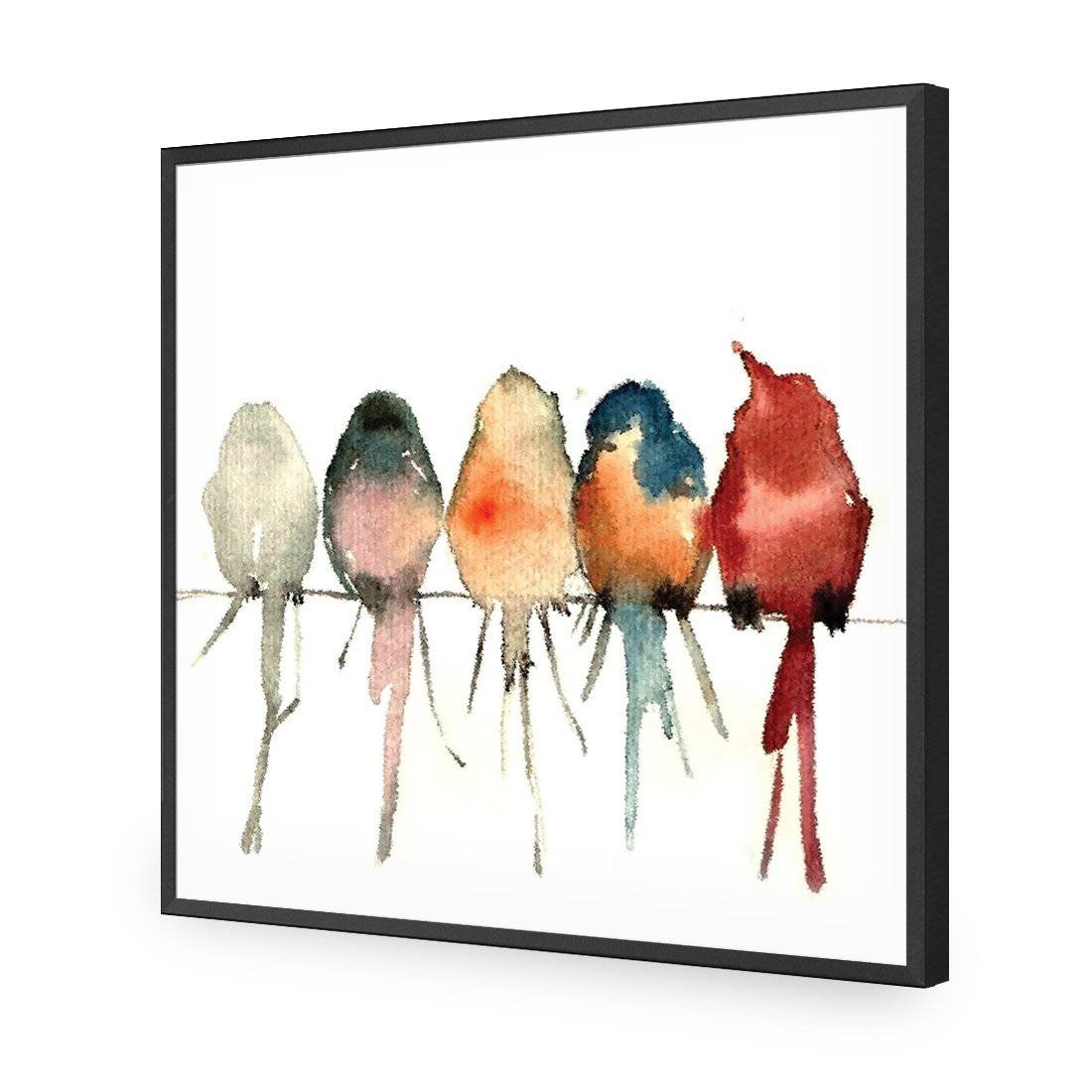 Watercolour Birds on Branch-Acrylic-Wall Art Design-Without Border-Acrylic - Black Frame-37x37cm-Wall Art Designs