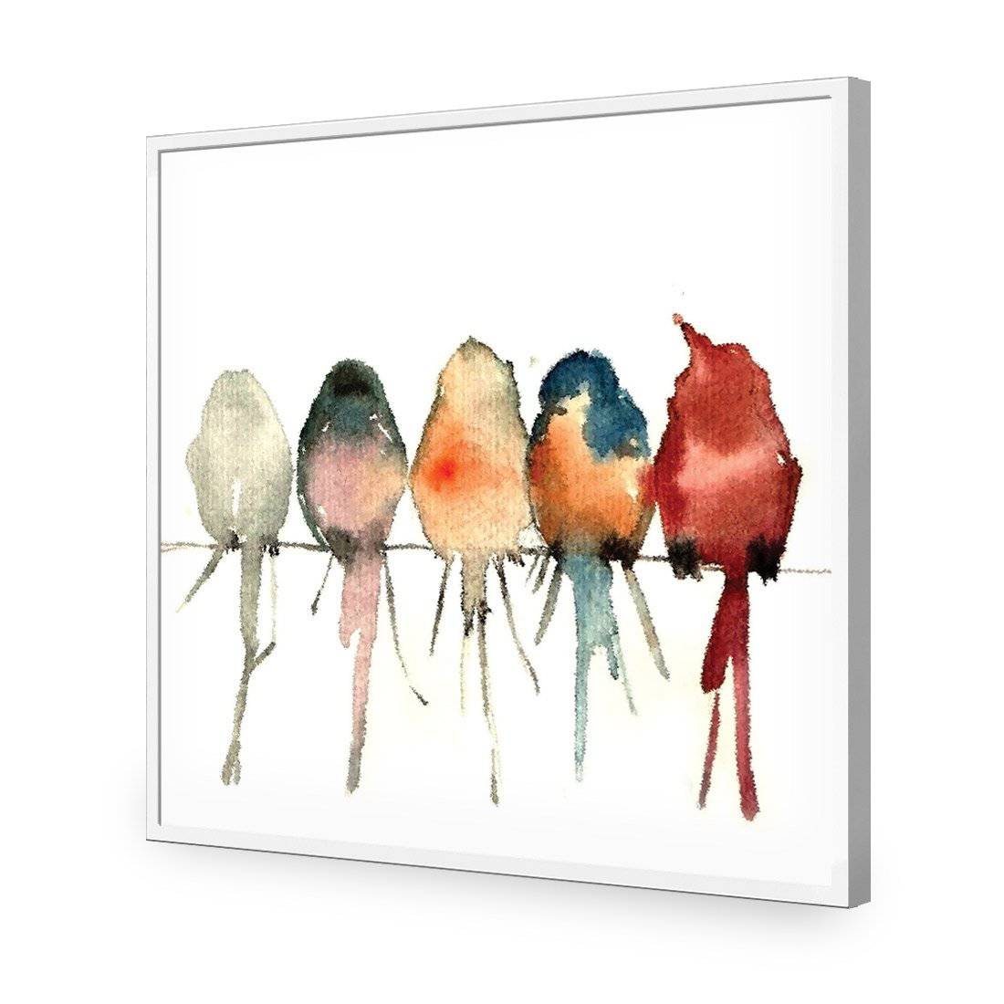 Watercolour Birds on Branch-Acrylic-Wall Art Design-Without Border-Acrylic - White Frame-37x37cm-Wall Art Designs