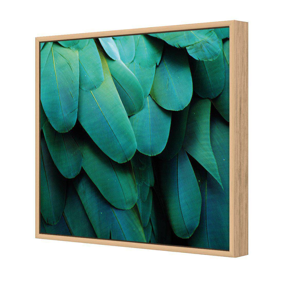 Macaw Feathers Canvas Art-Canvas-Wall Art Designs-30x30cm-Canvas - Oak Frame-Wall Art Designs