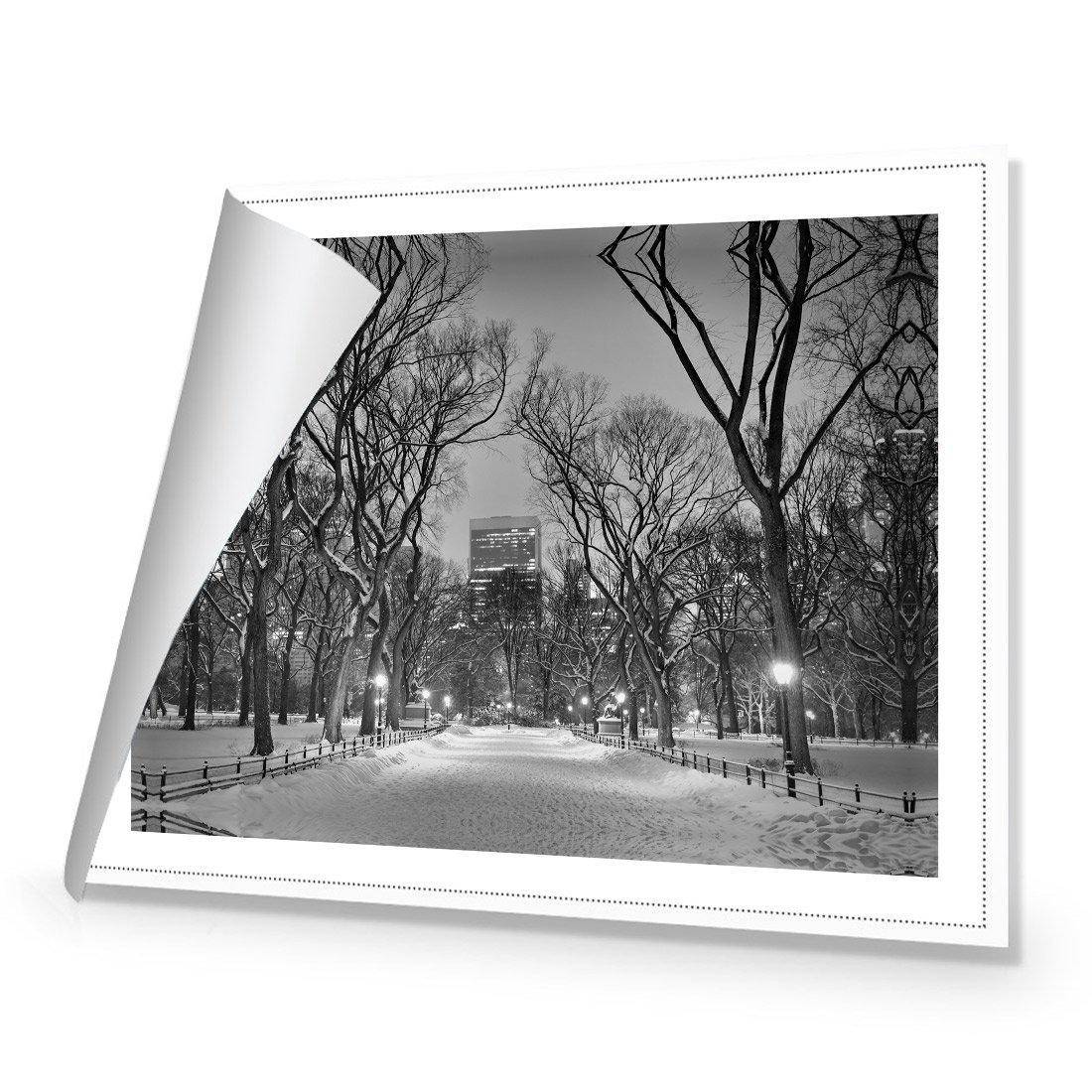 Winter in Central Park B&W Canvas Art-Canvas-Wall Art Designs-45x30cm-Rolled Canvas-Wall Art Designs