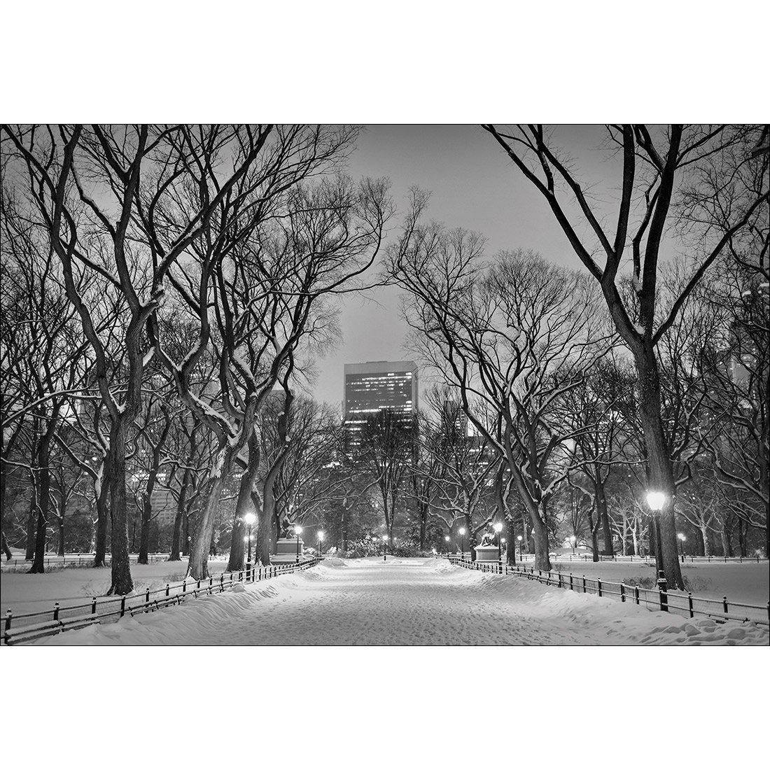 Winter in Central Park B&W Canvas Art-Canvas-Wall Art Designs-45x30cm-Canvas - No Frame-Wall Art Designs
