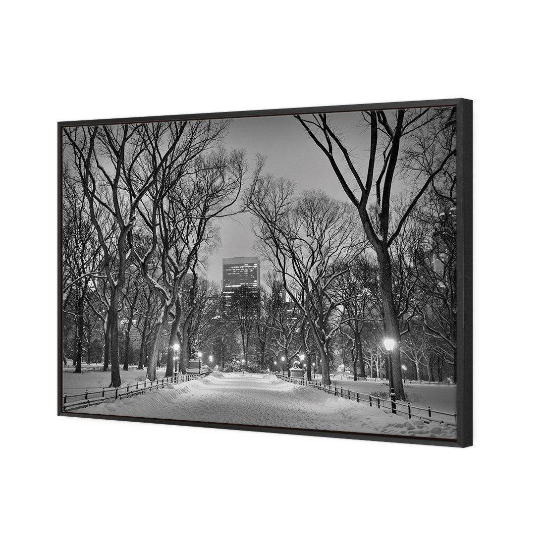 Winter in Central Park B&W Canvas Art-Canvas-Wall Art Designs-45x30cm-Canvas - Black Frame-Wall Art Designs