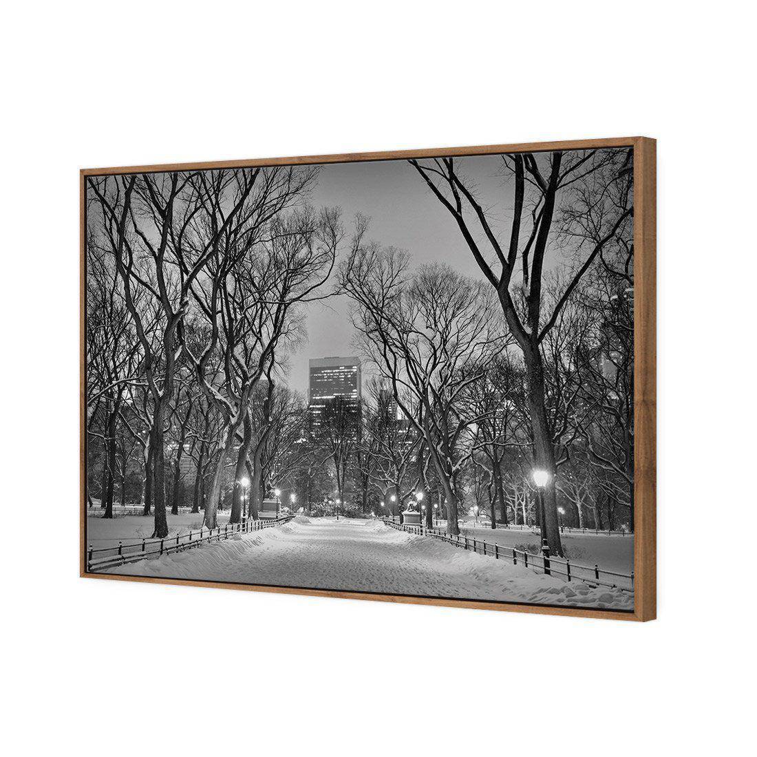 Winter in Central Park B&W Canvas Art-Canvas-Wall Art Designs-45x30cm-Canvas - Natural Frame-Wall Art Designs