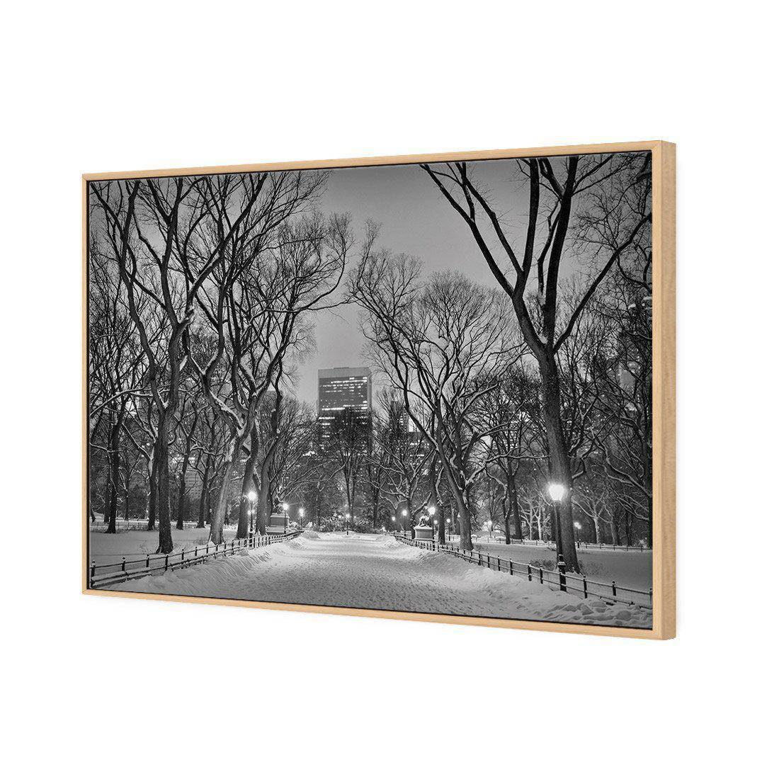 Winter in Central Park B&W Canvas Art-Canvas-Wall Art Designs-45x30cm-Canvas - Oak Frame-Wall Art Designs