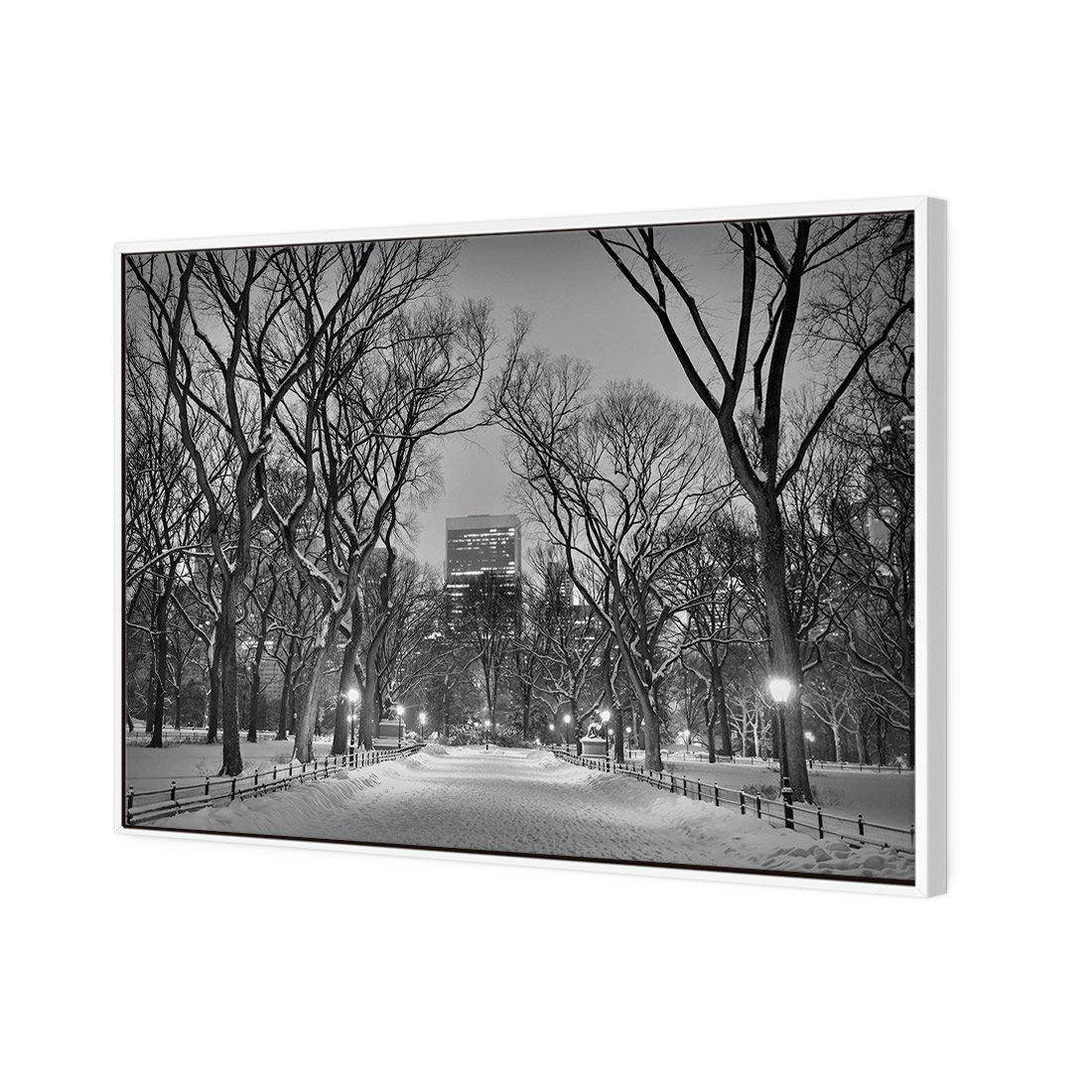 Winter in Central Park B&W Canvas Art-Canvas-Wall Art Designs-45x30cm-Canvas - White Frame-Wall Art Designs