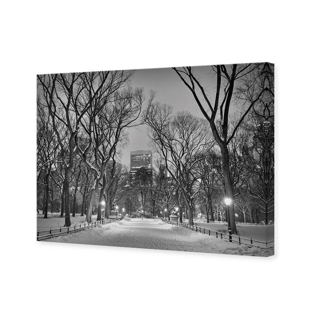 Winter in Central Park B&W Canvas Art-Canvas-Wall Art Designs-45x30cm-Canvas - No Frame-Wall Art Designs
