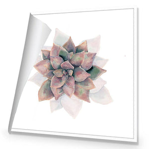 Succulent Rosette | Standard Canvas | No Frame | Rolled Canvas