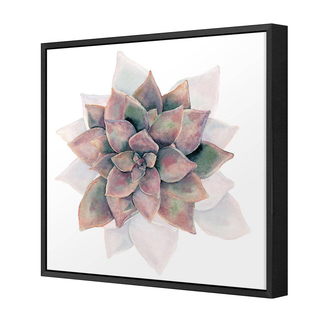 Succulent Rosette Canvas Art-Canvas-Wall Art Designs-30x30cm-Canvas - Black Frame-Wall Art Designs