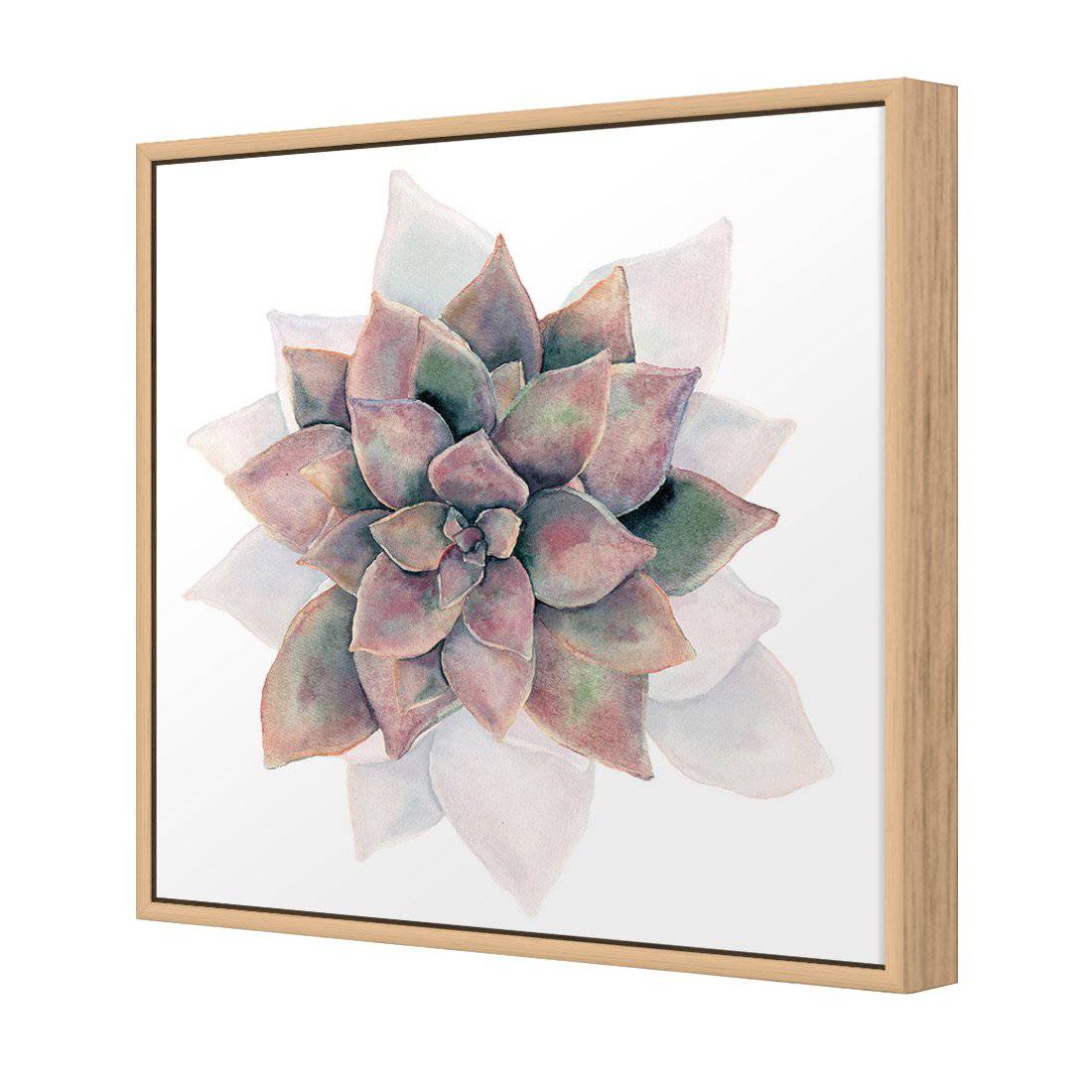 Succulent Rosette Canvas Art-Canvas-Wall Art Designs-30x30cm-Canvas - Oak Frame-Wall Art Designs