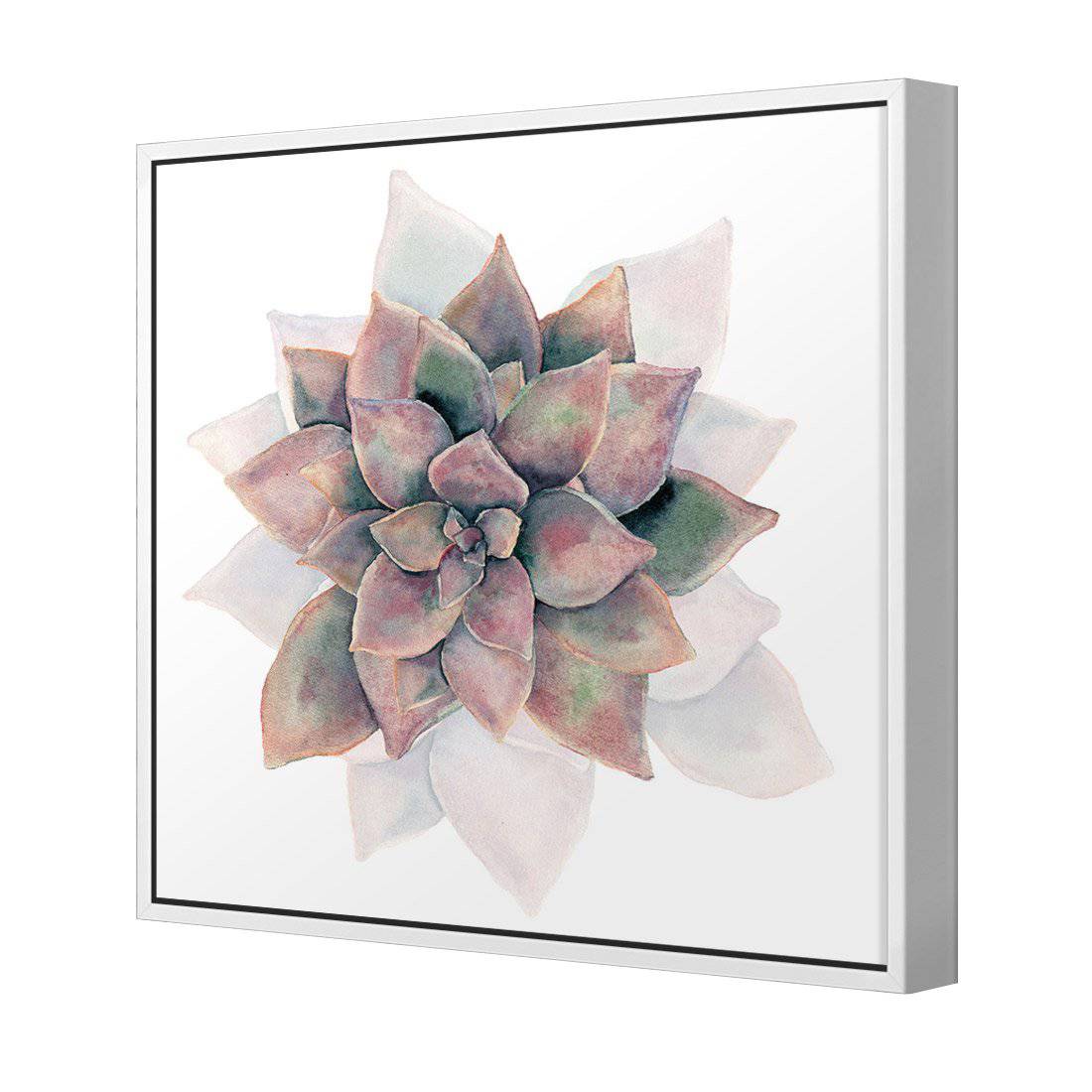 Succulent Rosette Canvas Art-Canvas-Wall Art Designs-30x30cm-Canvas - White Frame-Wall Art Designs