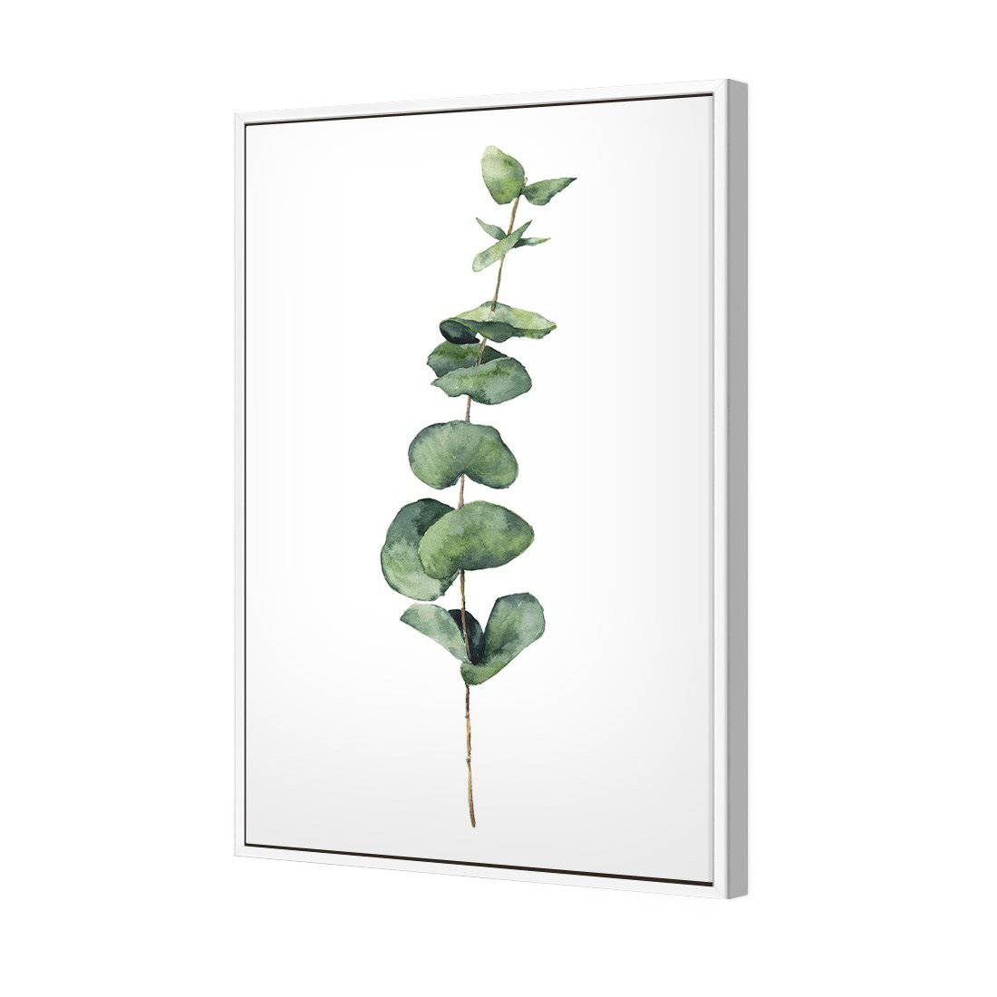 Fragrant Herb 2 Canvas Art-Canvas-Wall Art Designs-45x30cm-Canvas - White Frame-Wall Art Designs