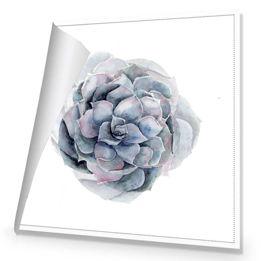 Succulent Sphere | Standard Canvas | No Frame | Rolled Canvas