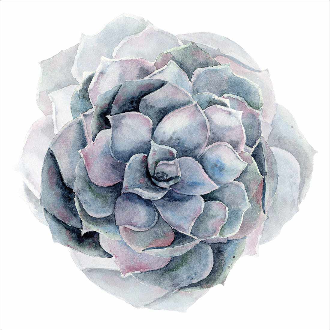Succulent Sphere