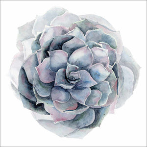 Succulent Sphere