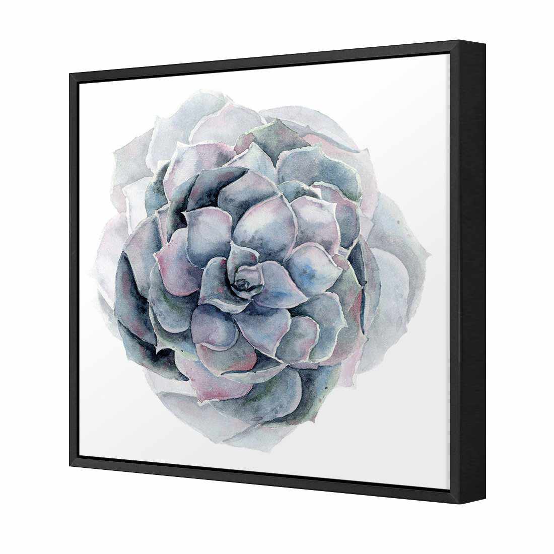 Succulent Sphere Canvas Art-Canvas-Wall Art Designs-30x30cm-Canvas - Black Frame-Wall Art Designs