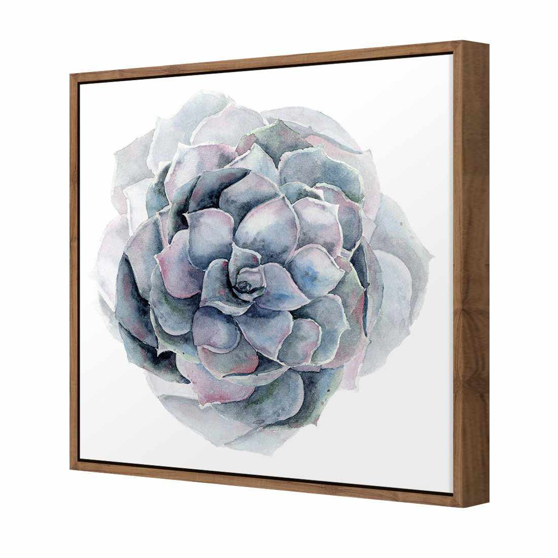 Succulent Sphere Canvas Art-Canvas-Wall Art Designs-30x30cm-Canvas - Natural Frame-Wall Art Designs
