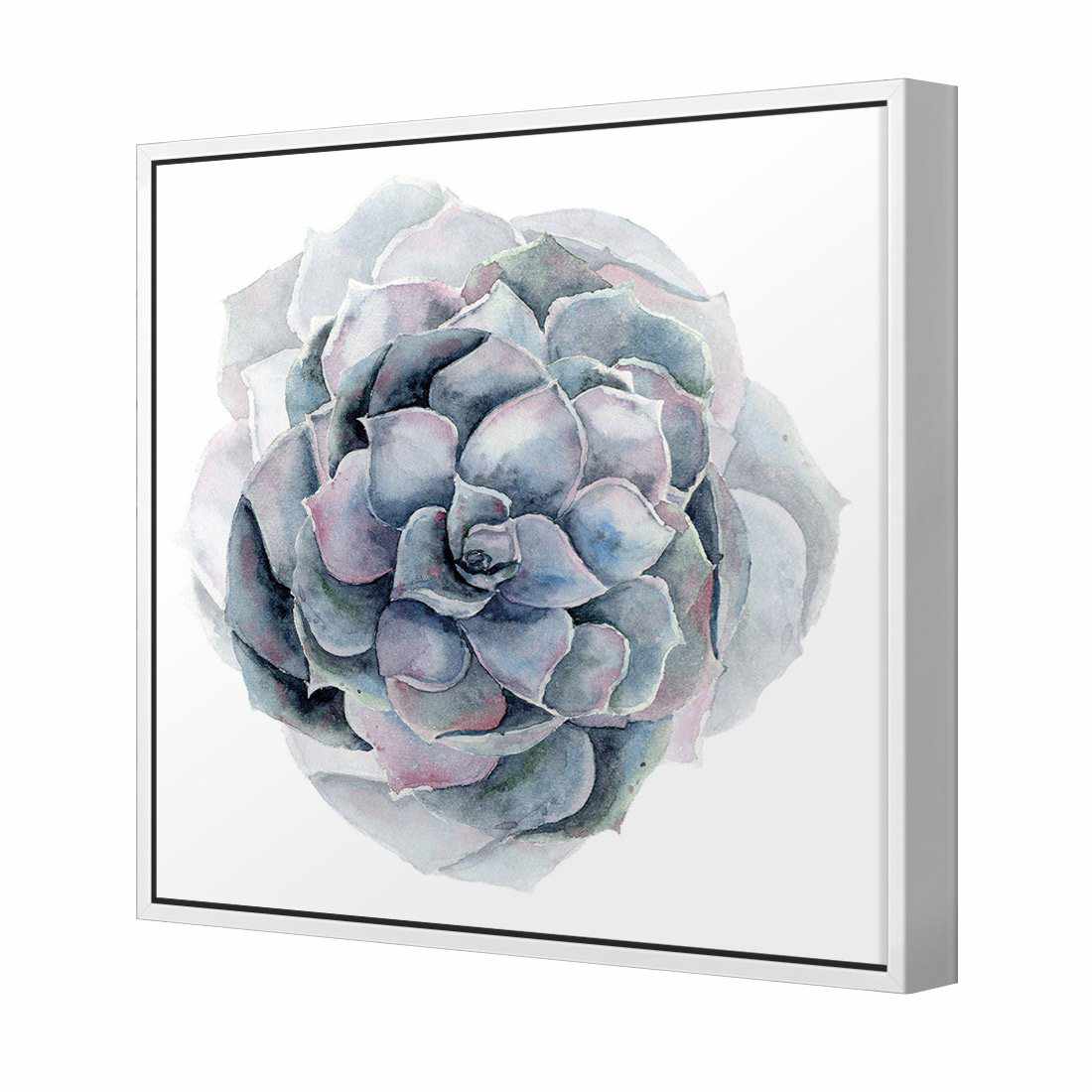 Succulent Sphere Canvas Art-Canvas-Wall Art Designs-30x30cm-Canvas - White Frame-Wall Art Designs