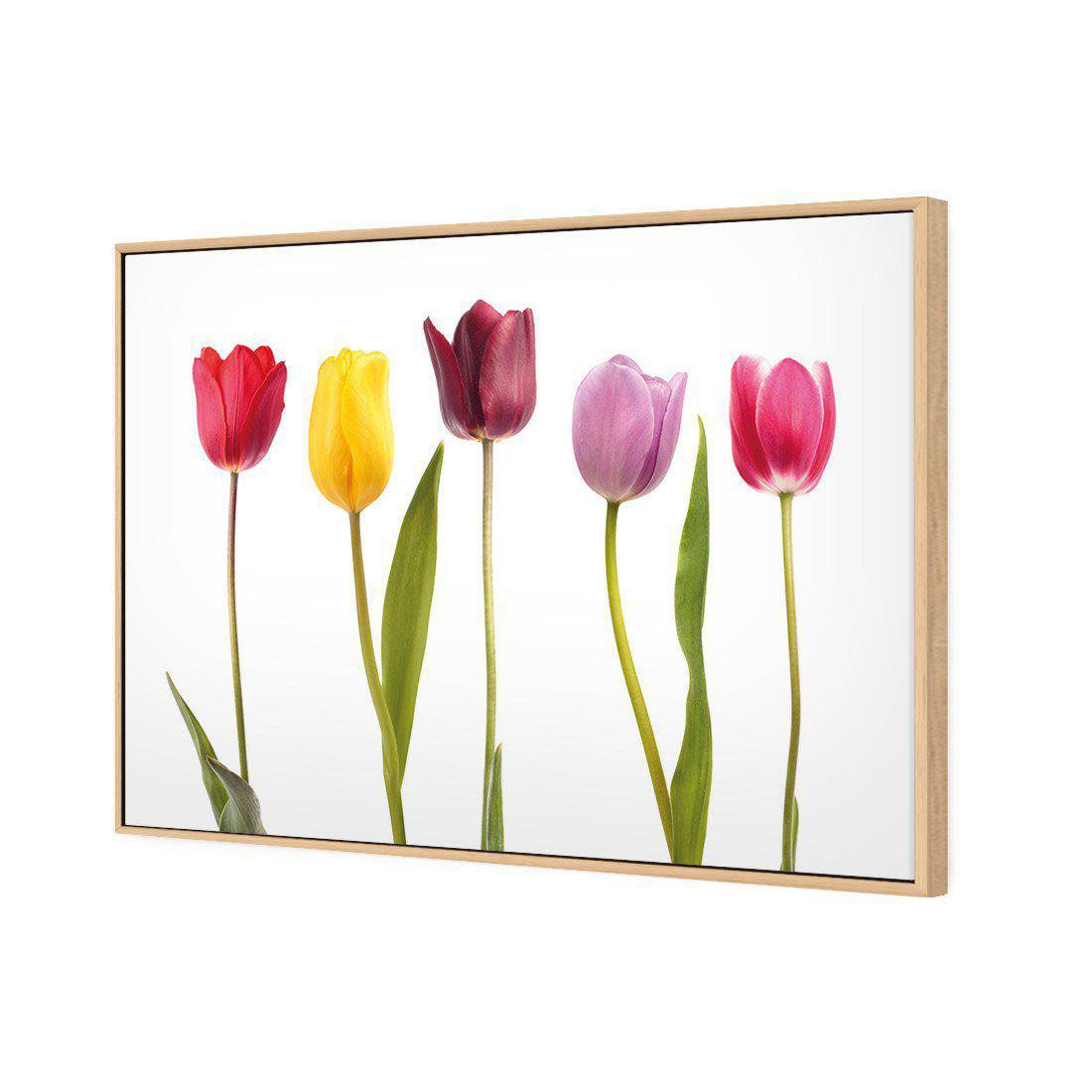Tulip Delight Canvas Art-Canvas-Wall Art Designs-45x30cm-Canvas - Oak Frame-Wall Art Designs