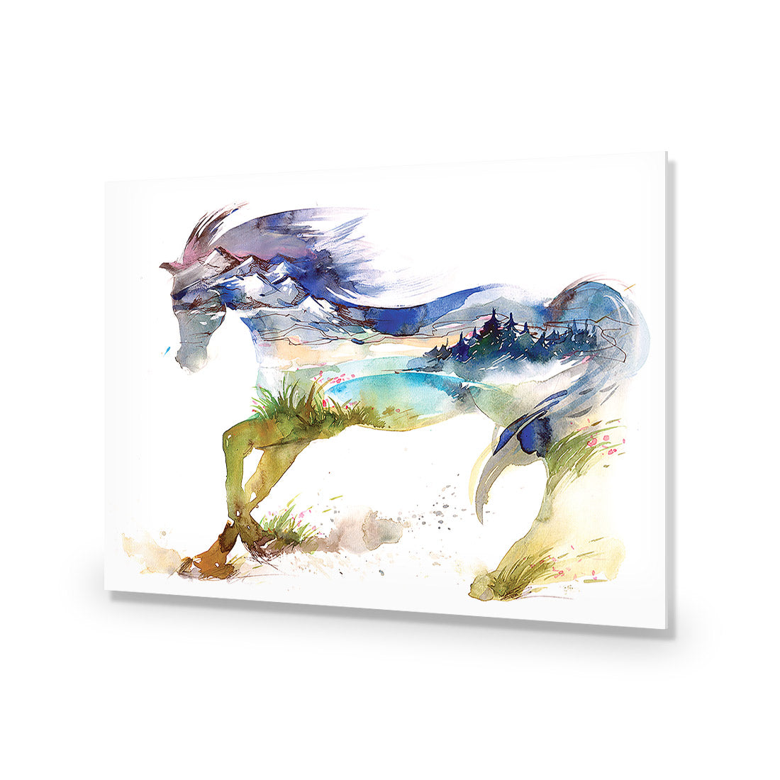 Horse Dreaming Acrylic Glass Art