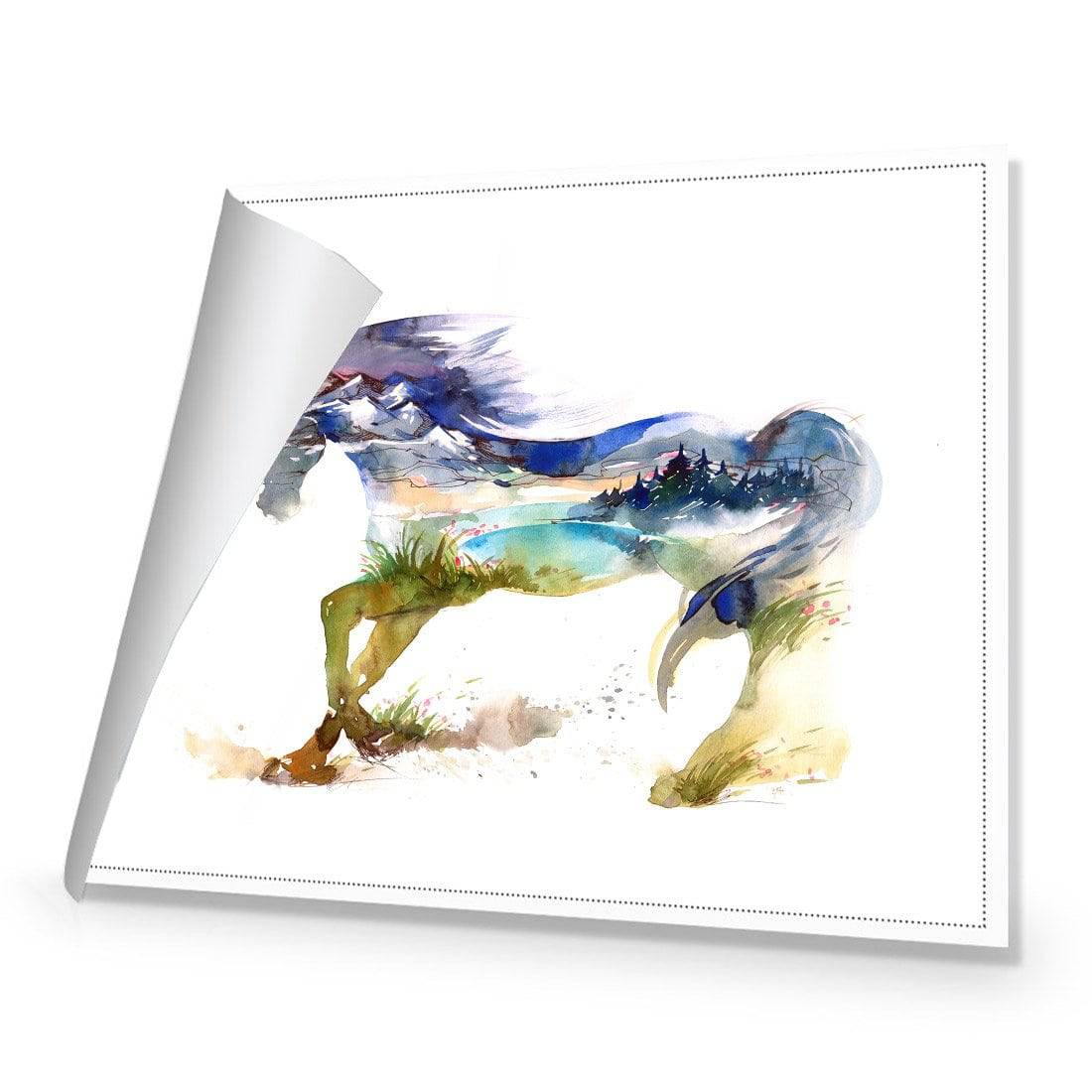 Horse Dreaming Canvas Art-Canvas-Wall Art Designs-45x30cm-Rolled Canvas-Wall Art Designs
