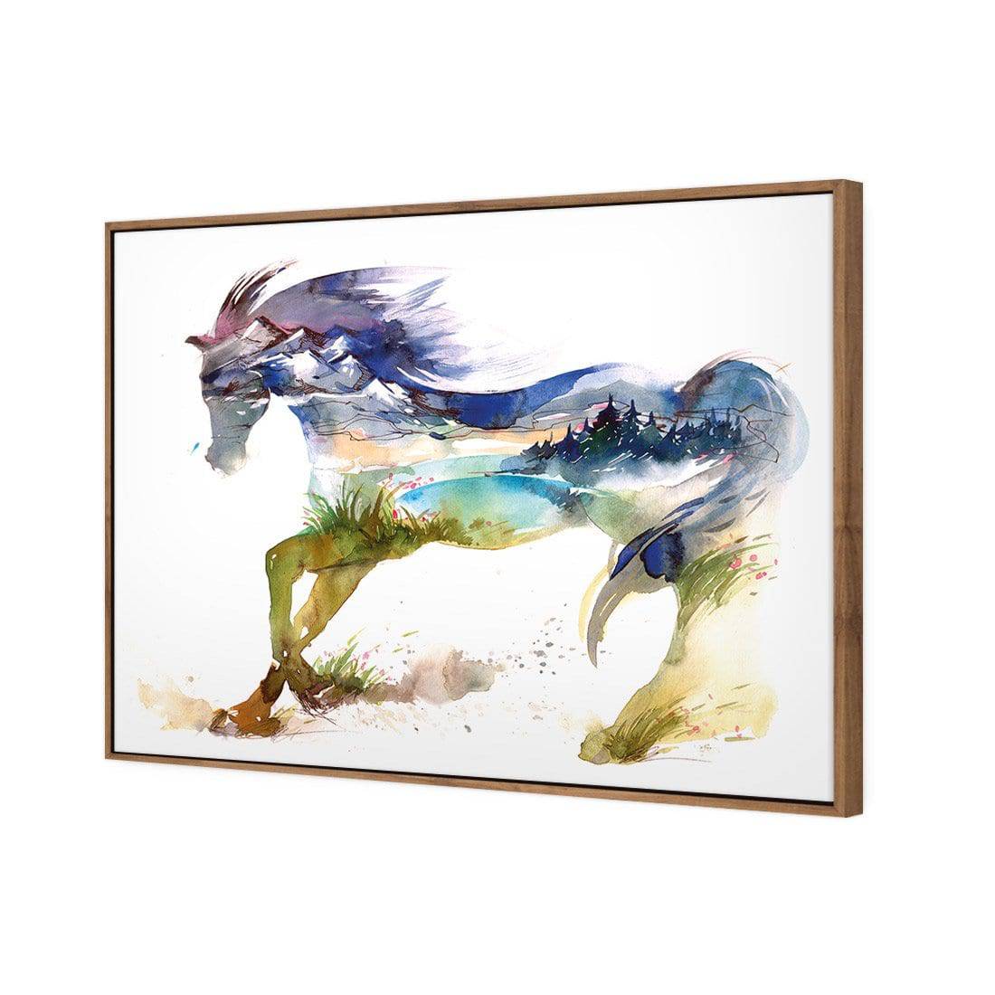 Horse Dreaming Canvas Art-Canvas-Wall Art Designs-45x30cm-Canvas - Natural Frame-Wall Art Designs