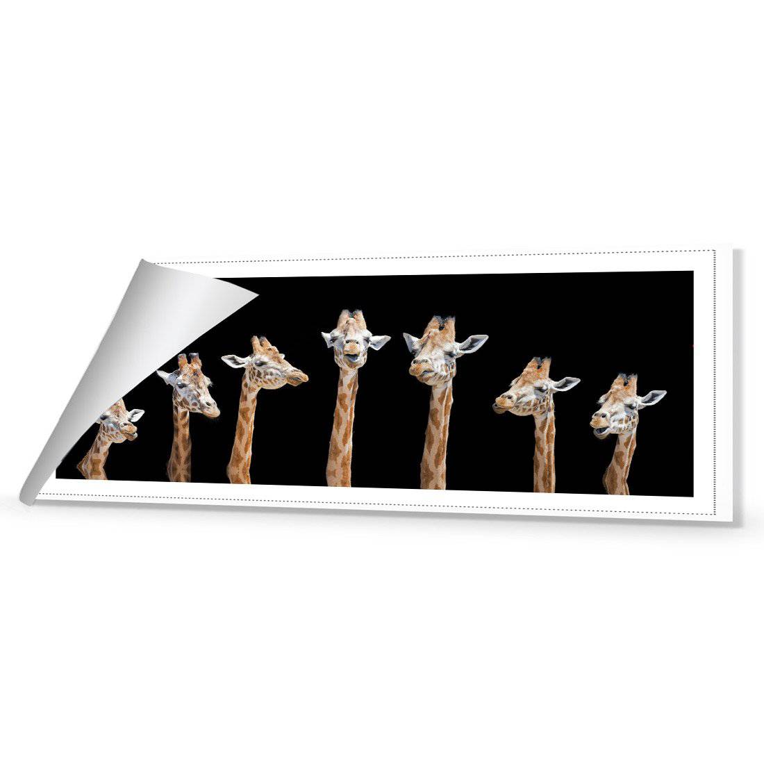 Laughing Giraffes Canvas Art-Canvas-Wall Art Designs-60x20cm-Rolled Canvas-Wall Art Designs
