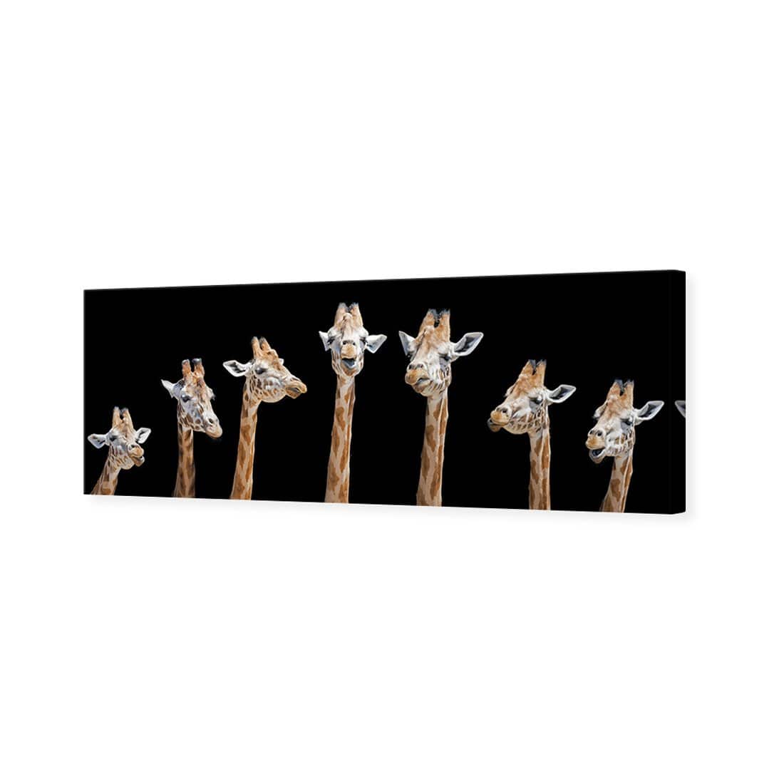 Laughing Giraffes Canvas Art-Canvas-Wall Art Designs-60x20cm-Canvas - No Frame-Wall Art Designs