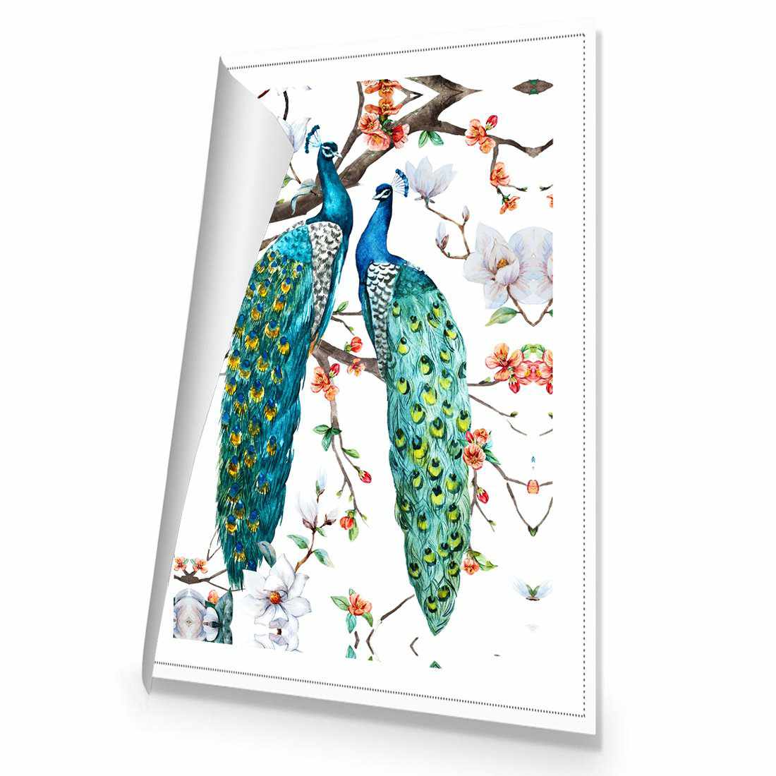 Peacock Magic | Standard Canvas | No Frame | Rolled Canvas