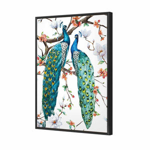 Peacock Magic | Standard Canvas | Floating Frame | Black