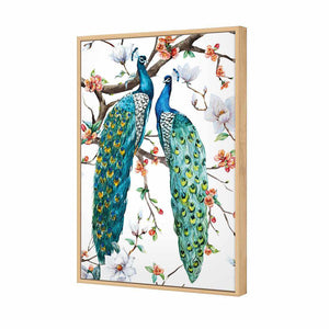 Peacock Magic | Standard Canvas | Floating Frame | Oak