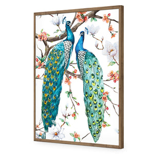 Peacock Magic | Standard Acrylic | Flat Frame No Border | Natural