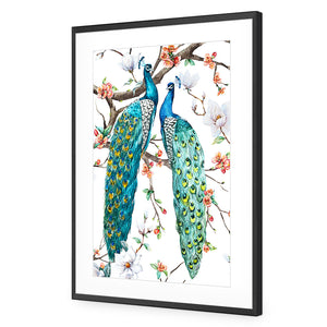 Peacock Magic | Standard Acrylic | Flat Frame With Border | Black