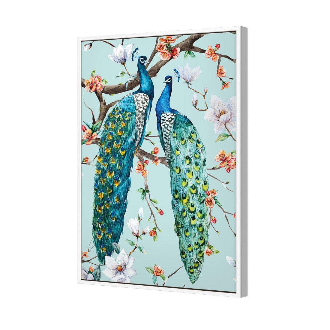 Peacock Magic, Teal Canvas Art-Canvas-Wall Art Designs-45x30cm-Canvas - White Frame-Wall Art Designs