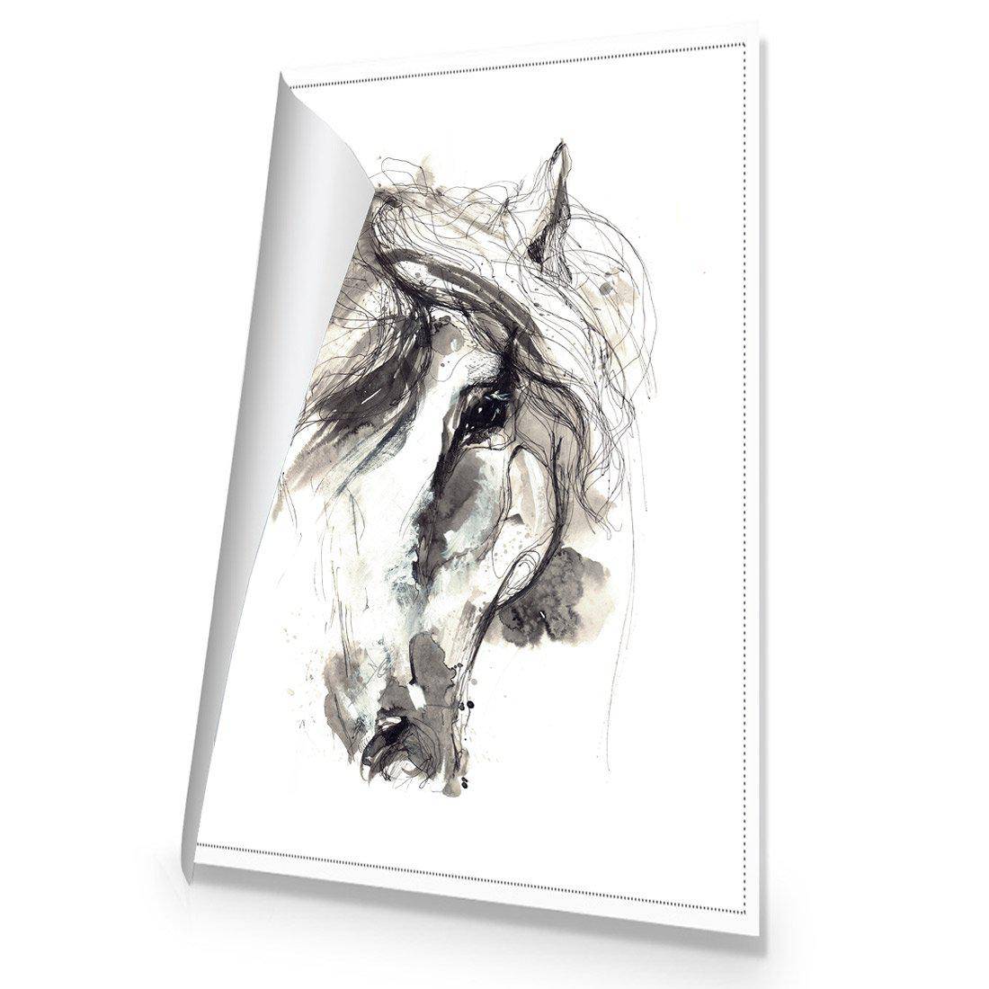 Monochrome Sketch Horse Canvas Art-Canvas-Wall Art Designs-45x30cm-Rolled Canvas-Wall Art Designs