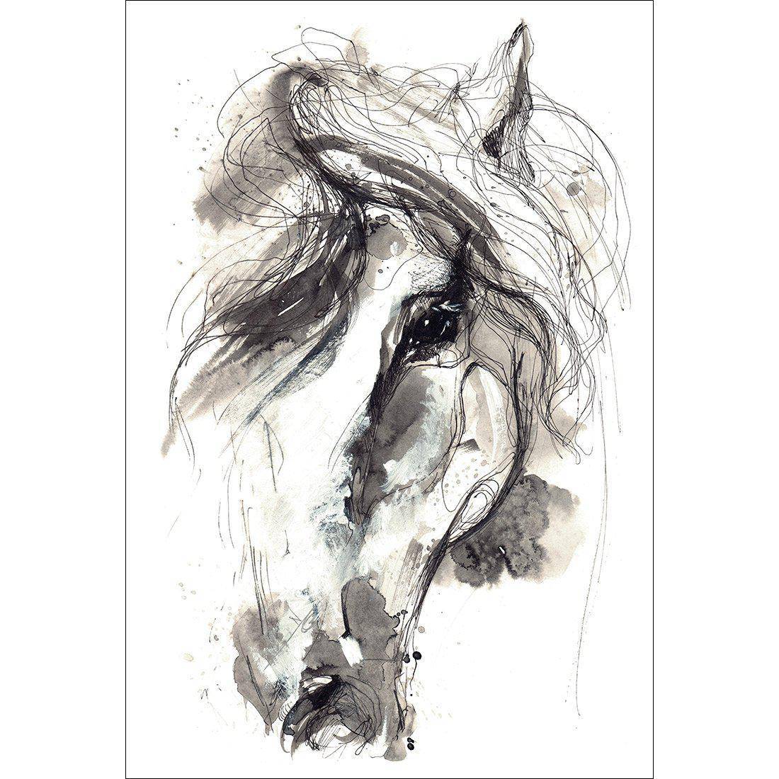 Monochrome Sketch Horse Canvas Art-Canvas-Wall Art Designs-45x30cm-Canvas - No Frame-Wall Art Designs