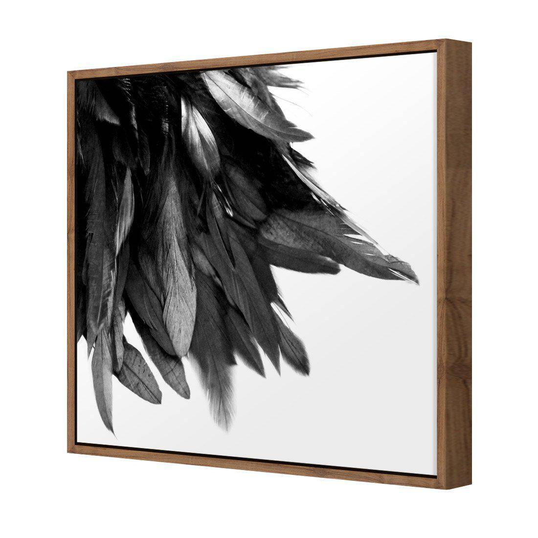 Black Feather Tail, B&W Canvas Art-Canvas-Wall Art Designs-30x30cm-Canvas - Natural Frame-Wall Art Designs