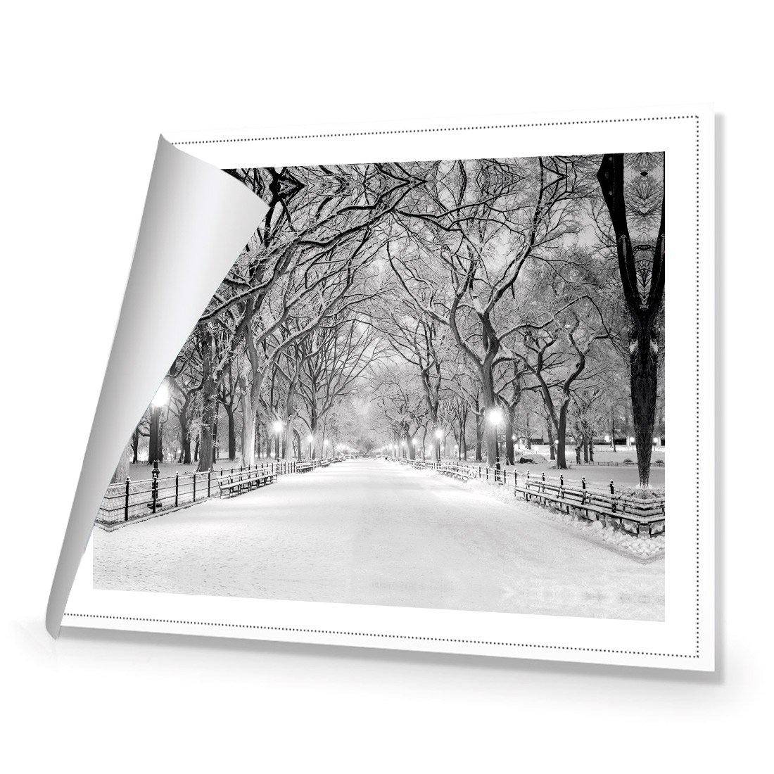 Central Park Dawn in Snow Canvas Art-Canvas-Wall Art Designs-45x30cm-Rolled Canvas-Wall Art Designs
