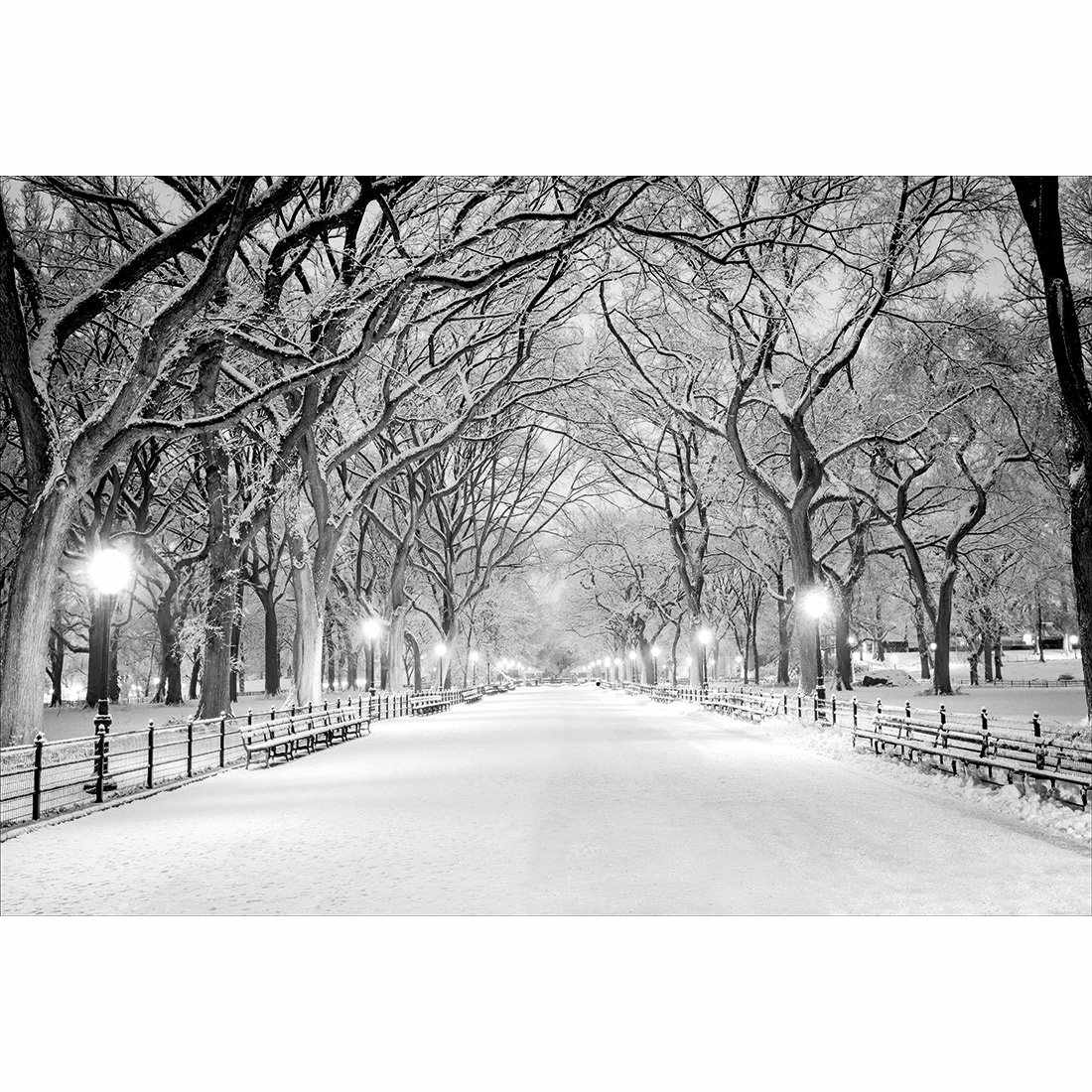 Central Park Dawn in Snow-Acrylic-Wall Art Design-With Border-Acrylic - No Frame-45x30cm-Wall Art Designs