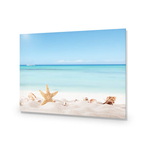 Starfish and Friends | Standard Acrylic | No Frame No Border