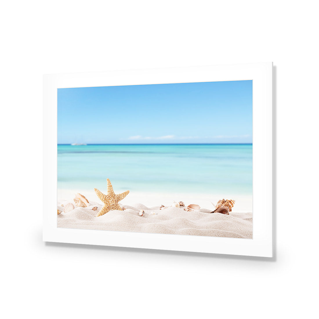 Starfish and Friends | Standard Acrylic | No Frame With Border