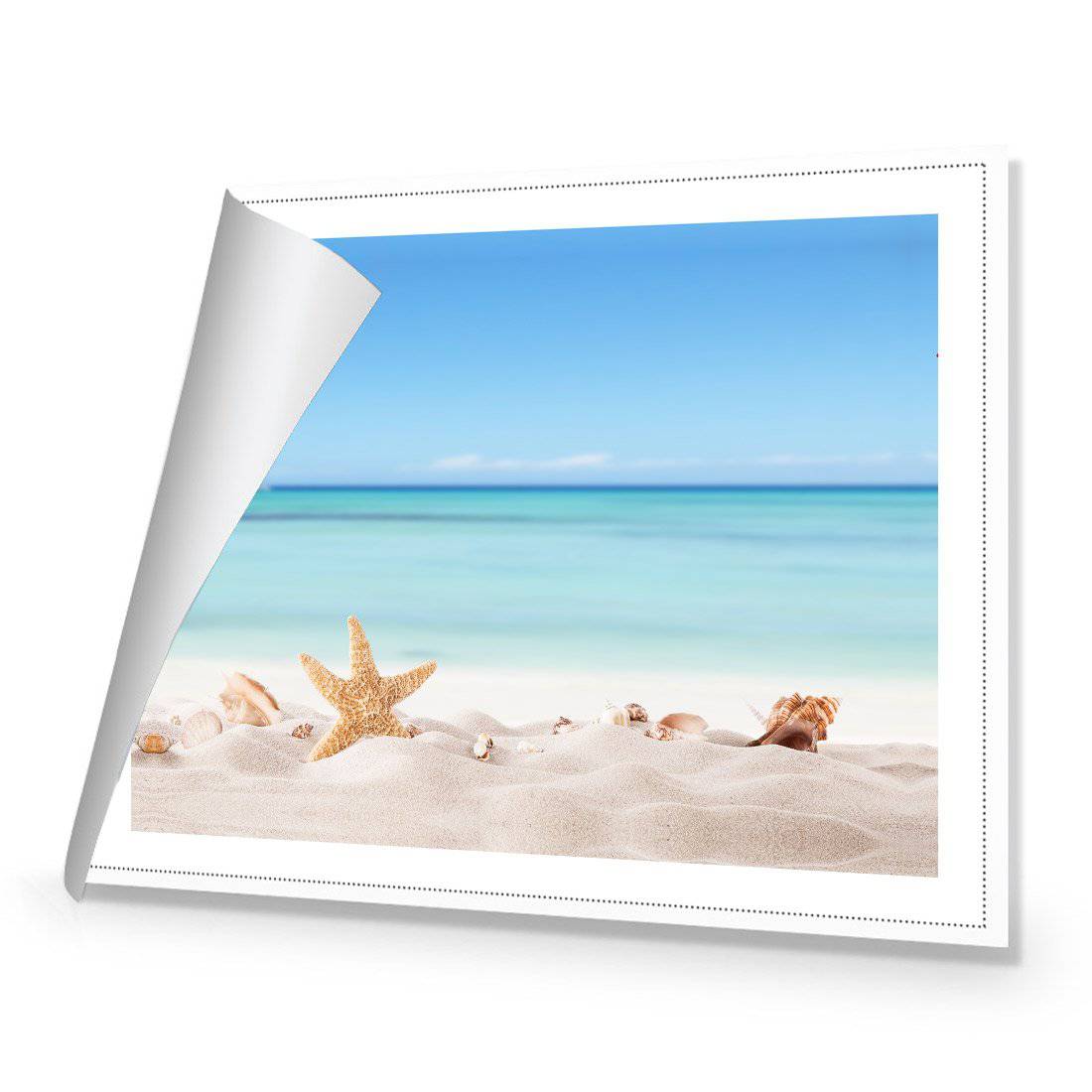 Starfish and Friends Canvas Art-Canvas-Wall Art Designs-45x30cm-Rolled Canvas-Wall Art Designs