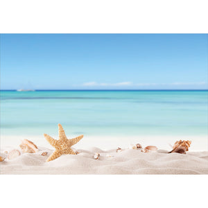 Starfish and Friends