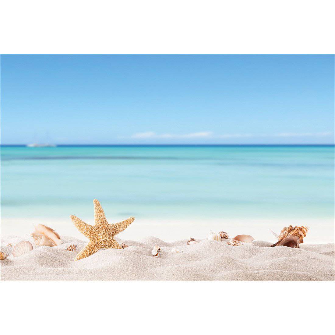 Starfish and Friends Canvas Art-Canvas-Wall Art Designs-45x30cm-Canvas - No Frame-Wall Art Designs