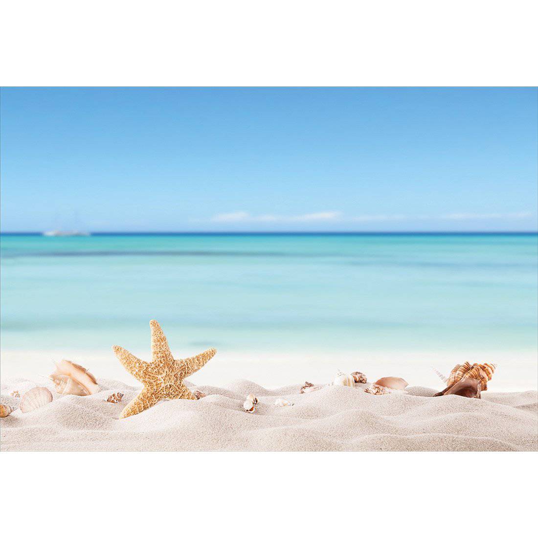 Starfish and Friends