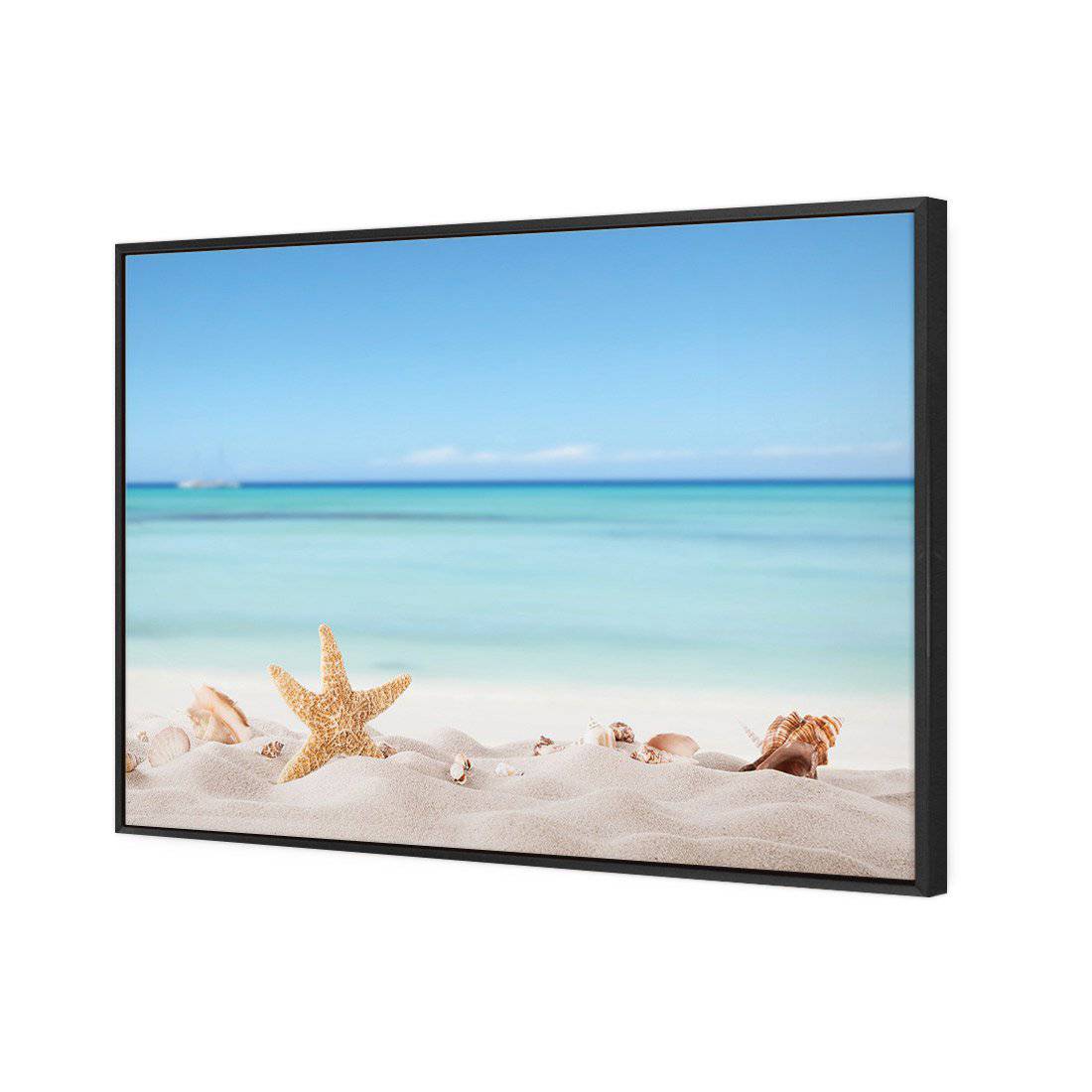 Starfish and Friends Canvas Art-Canvas-Wall Art Designs-45x30cm-Canvas - Black Frame-Wall Art Designs