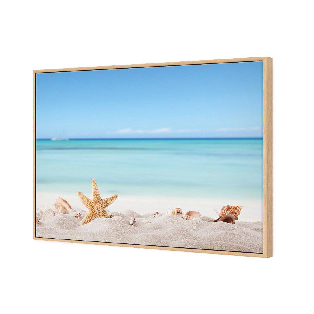 Starfish and Friends Canvas Art-Canvas-Wall Art Designs-45x30cm-Canvas - Oak Frame-Wall Art Designs